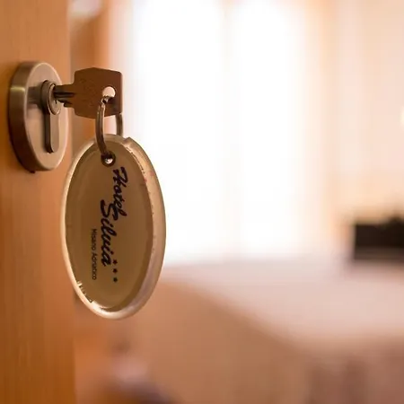 Silvia Hotel 3*
