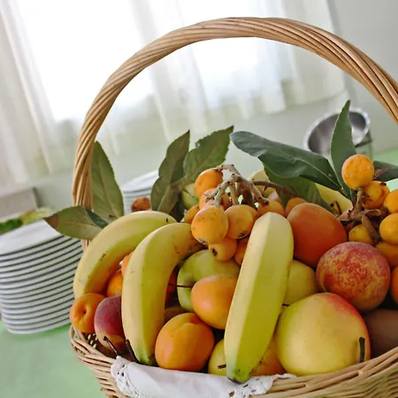 Silvia Hotel Misano Adriatico