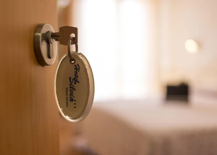 Hotell Hotel Silvia Misano Adriatico