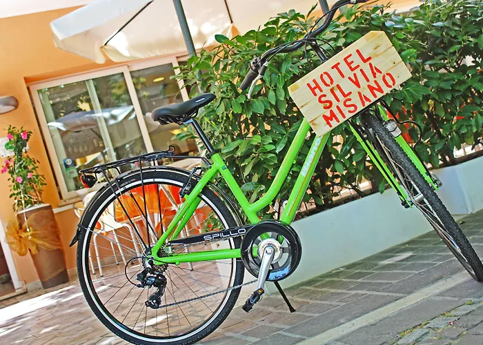 Hotel Silvia 3* Misano Adriatico