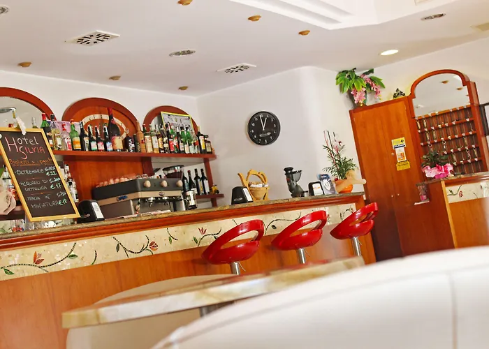 Hotel Silvia Hotell Misano Adriatico