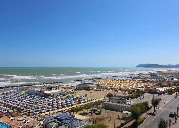 Hotell Hotel Silvia Misano Adriatico