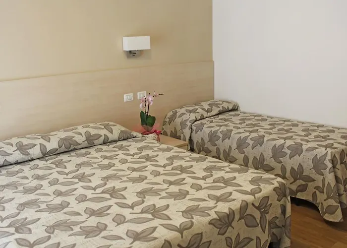 Hotel Silvia Hotell Misano Adriatico