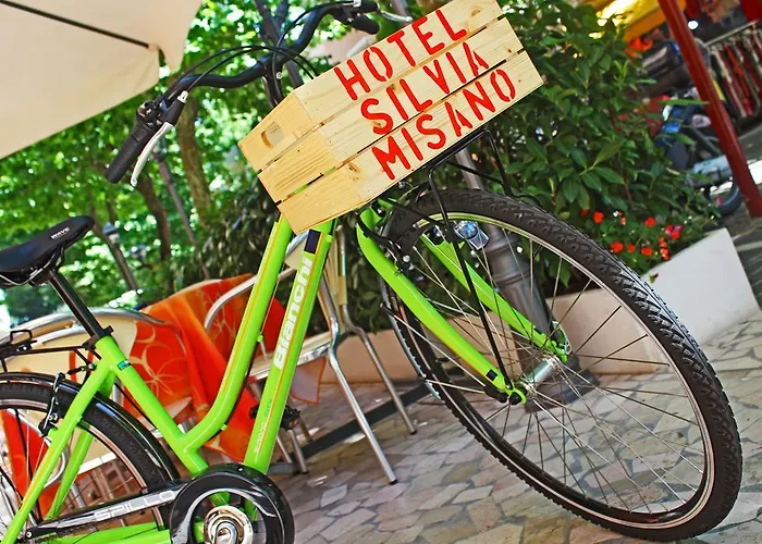 Hotel Silvia Hotell Misano Adriatico